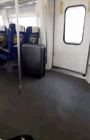 zr990.gif