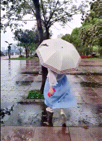 zr989.gif