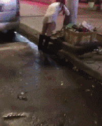 zr988.gif