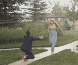 zr1007.gif