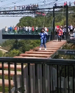 zr987.gif