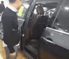 zr975.gif