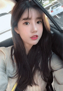 zr954.gif