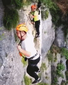 1656993253138687.gif zr905.gif