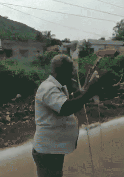 zr894.gif
