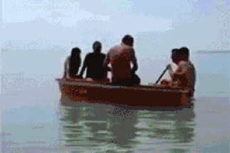 1657114576785257.gif zr881.gif
