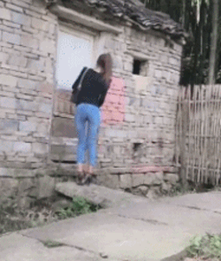 zr869.gif
