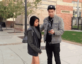 zr865.gif