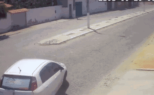 zr860.gif
