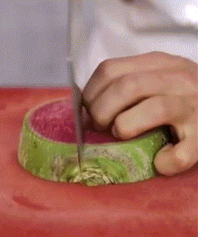 zr853 (1).gif