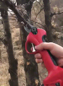 1657352485589596.gif zr848.gif