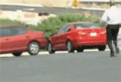 zr843.gif