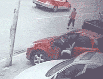 zr836.gif