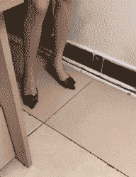 zr825.gif