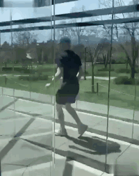 zr822.gif