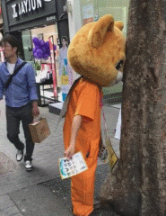 zr814.gif