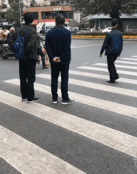 zr809.gif
