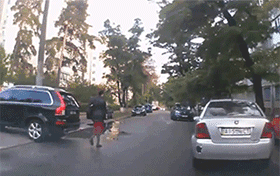 zr797.gif