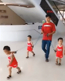 zr767.gif