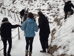 zr765.gif