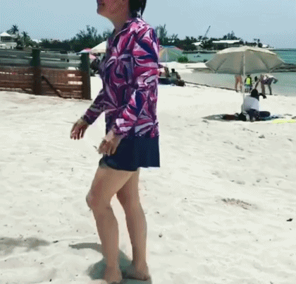 zr683.gif