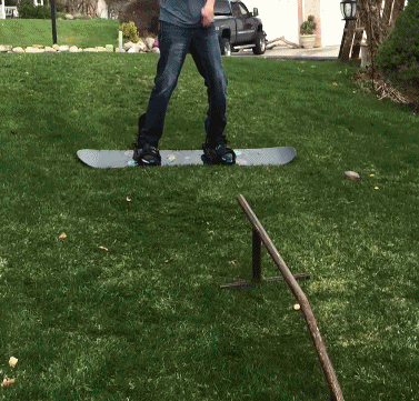 zr667.gif