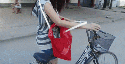 1659438292171274.gif zr661.gif