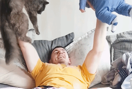 1659440615156325.gif zr656.gif
