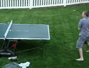 1659881475187047.gif zr647.gif