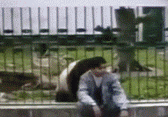 1659881787386763.gif zr633.gif