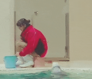 zr622.gif
