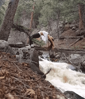 1660650737343079.gif zr606.gif