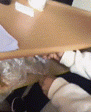 zr605.gif