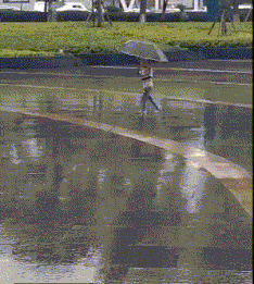 zr588.gif