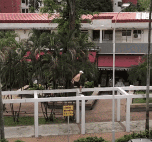 zr571.gif