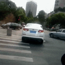 zr563.gif