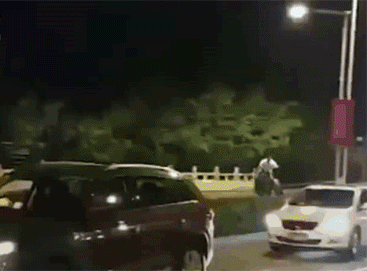 zr543.gif