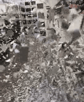 zr539.gif
