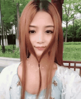 zr531.gif