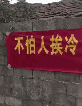 zr526.gif