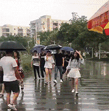 zr503.gif
