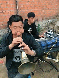 1661483241110609.gif zr502.gif