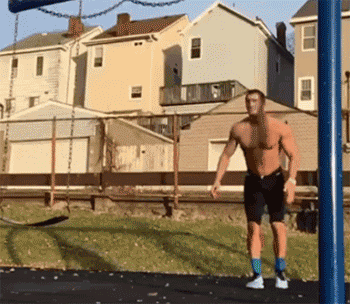 zr499.gif