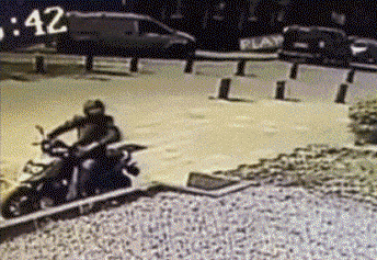 zr494.gif