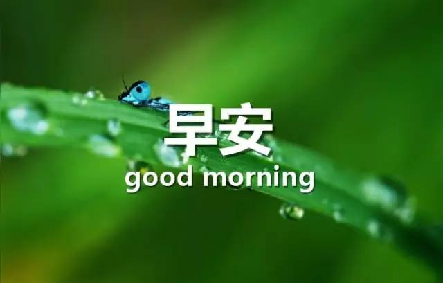 1f38418c47f441c09085ed805f8bc7fe_th.jpeg