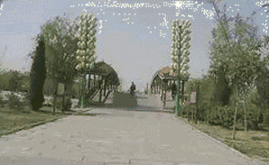 zr487.gif