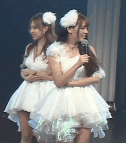 zr483.gif