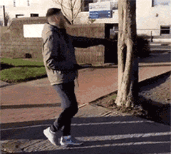 zr474.gif