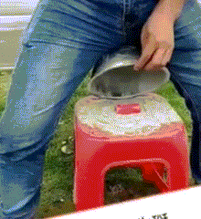 zr475.gif