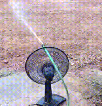 zr465.gif